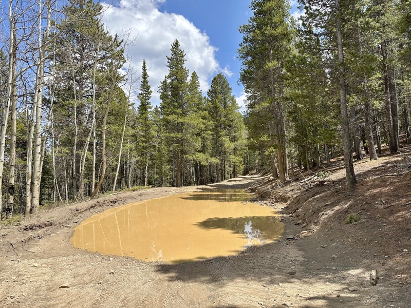 Trail Review: Bald Mountain Lane - Arapaho National Forest - Scott Bram