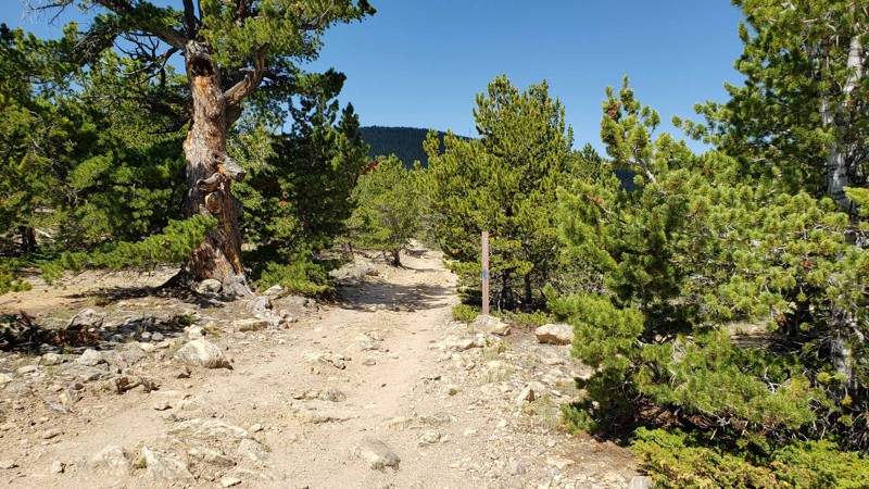 Colorado: Yankee Hill Cutoff Hero Photo