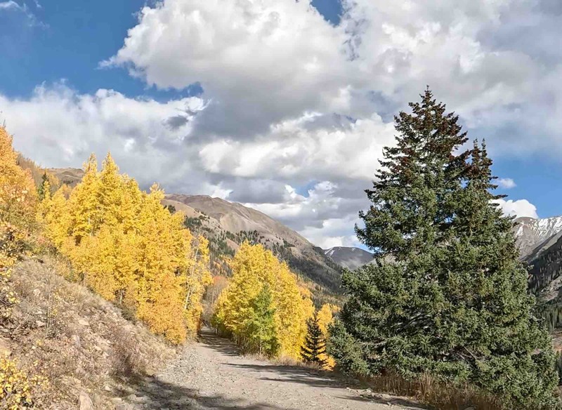 Engineer Pass Road Trail Review Photo