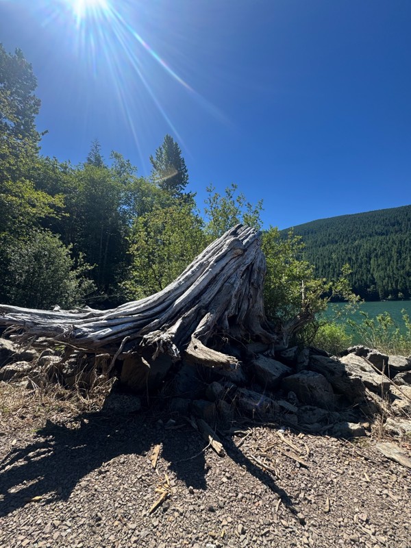 Spada Lake Trail Review Photo