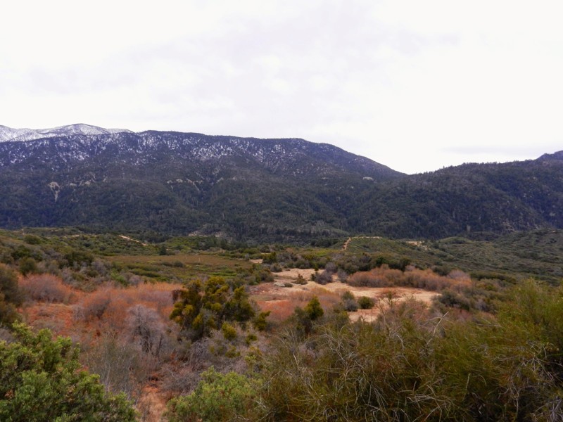 California: 1N64 - Seven Pines Hero Photo