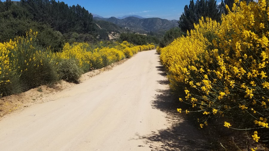 Trail Review: 1N64 - Seven Pines - Robert Kruse