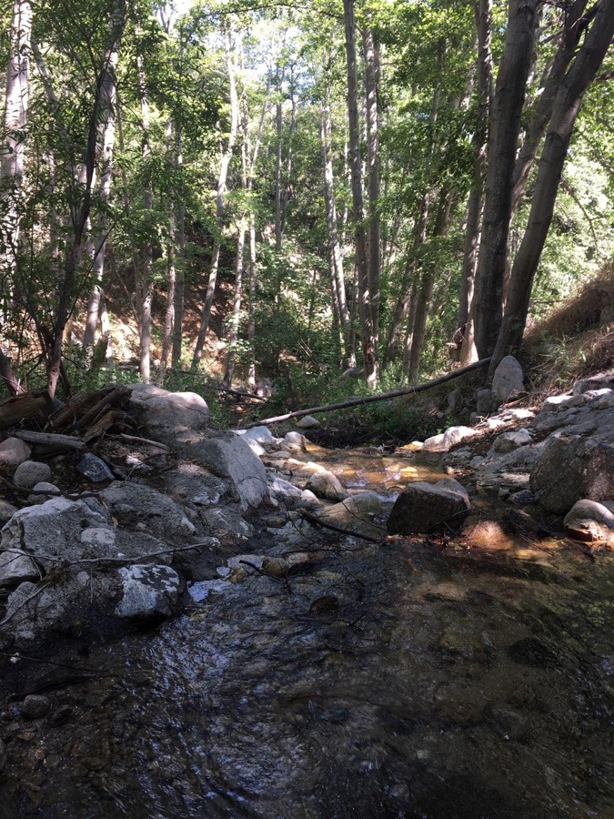 Trail Review: 1N09 - City Creek - Josh