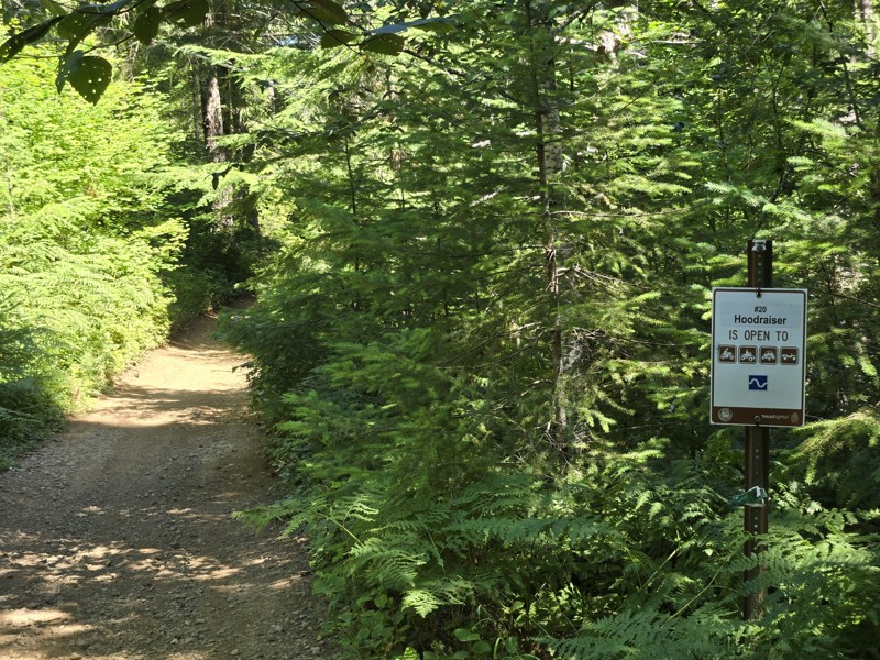 Hoodraiser / Tillamook State Forest Trail Review Photo