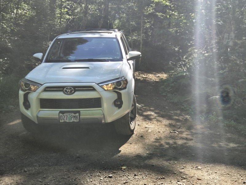 Hoodraiser / Tillamook State Forest Trail Review Photo