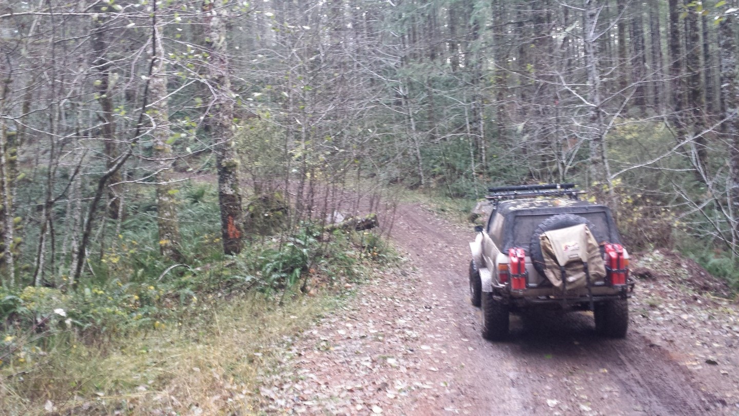 Archers Firebreak #28D / Tillamook State Forest - Best Trails