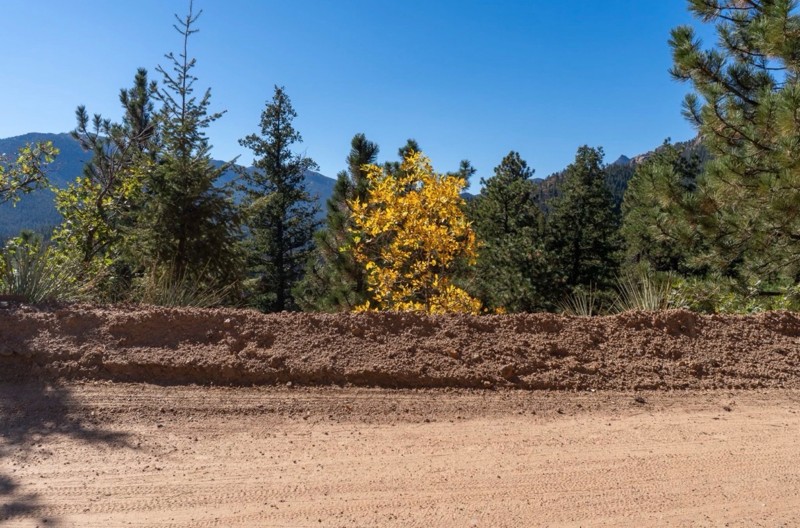 Lower Gold Camp Road Trail Review Photo