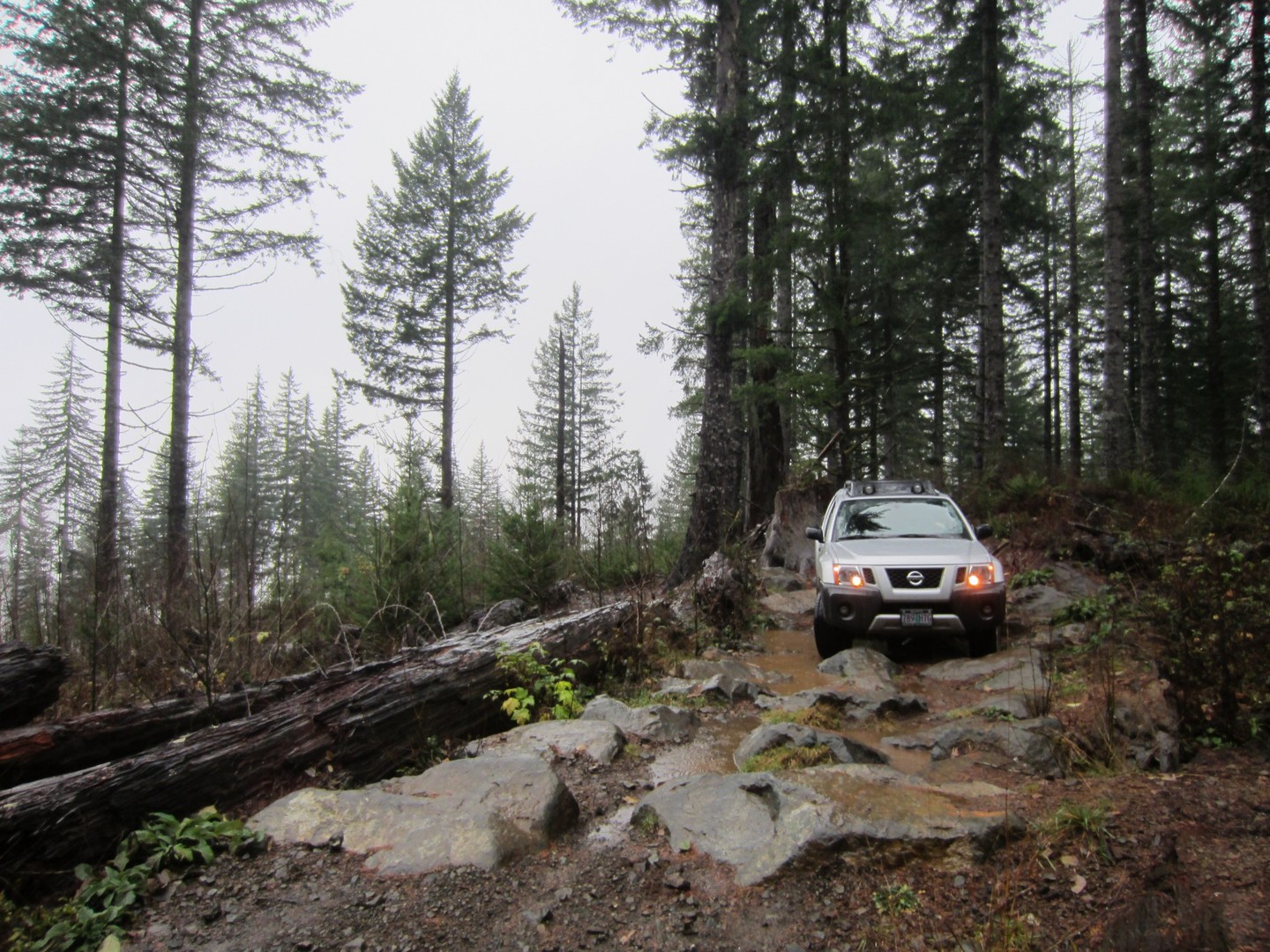Stick in the Nose #37 / Tillamook State Forest - Beginner Trails