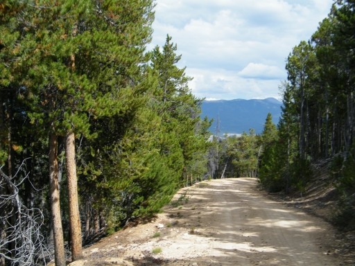 Colorado: Flume Creek Hero Photo