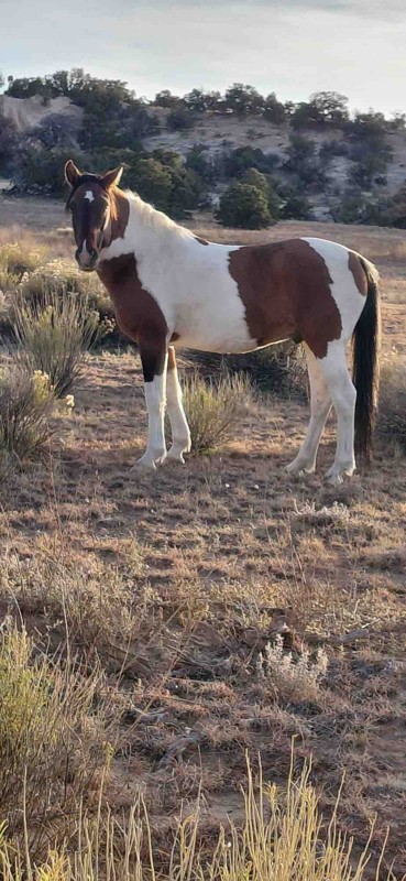 Copper Globe Mine Trail Review Photo