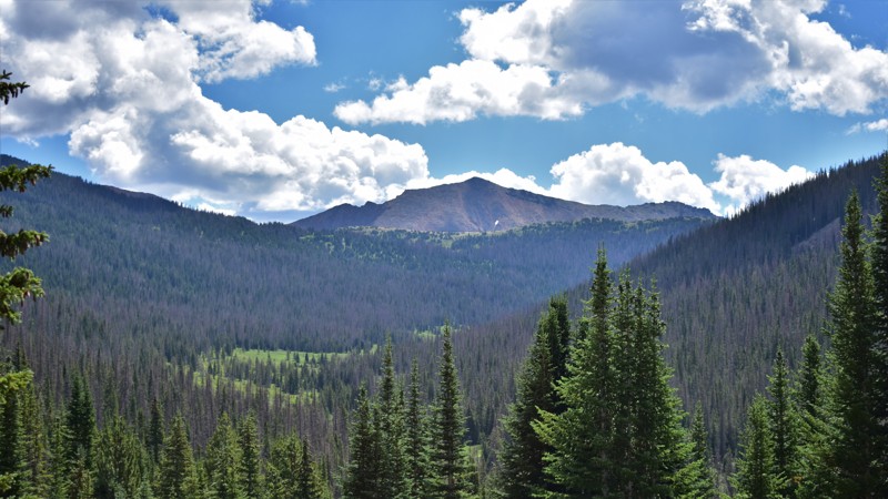 Colorado: Jack Creek Hero Photo