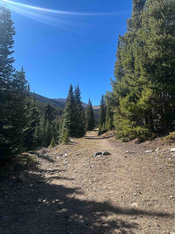 Upper Geneva (Geneva Creek) Trail Review Photo