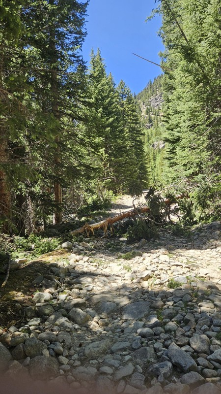 Upper Geneva (Geneva Creek) Trail Review Photo