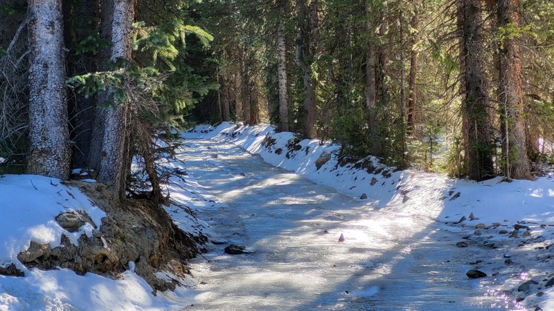 Georgia Pass Trail Review Photo
