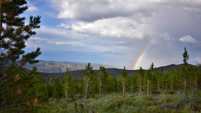 Colorado: Crown Point Road Hero Photo