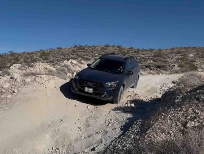 The Dutch Cleanser Mine Trail Review Photo