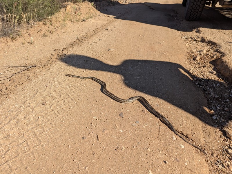 8S05 - Highpoint Trail Review Photo