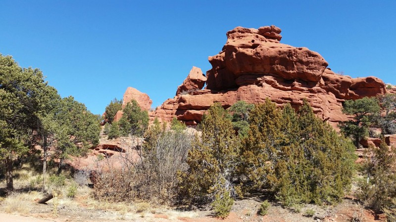 Colorado: Seep Springs OHV Area- BLM Road 5830 Hero Photo