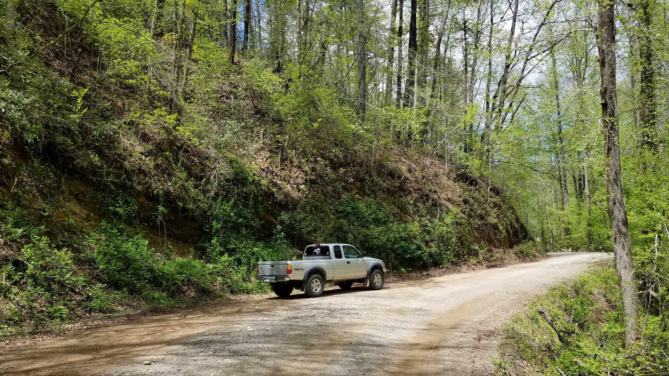Forest Service Road 28 1 Georgia - 1702487333387 Forest Service Road 28 1 2200 