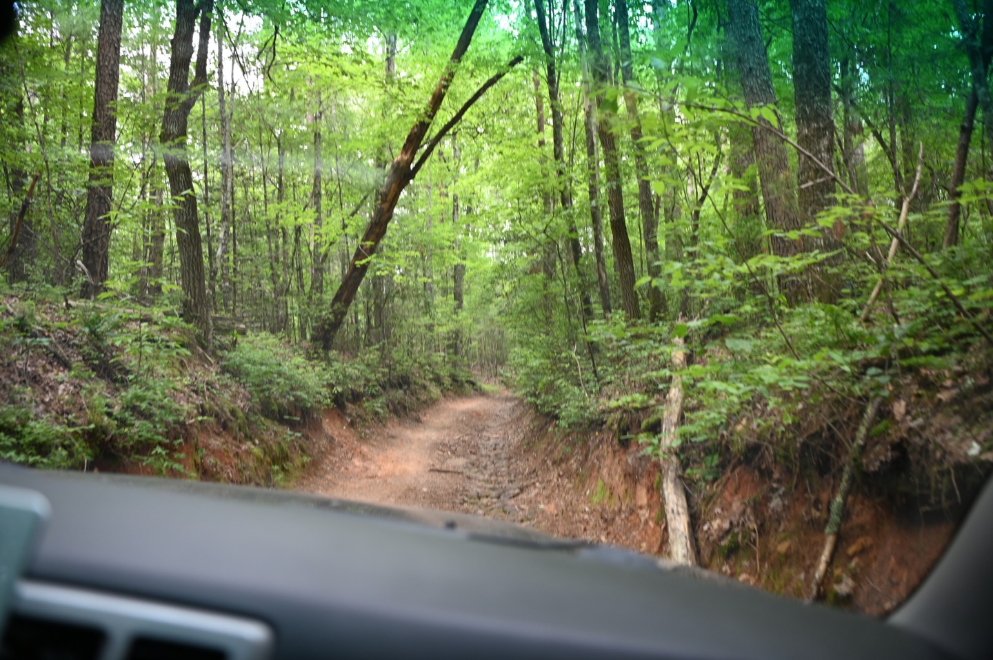 Forest Service Road 333 Offroad Trail