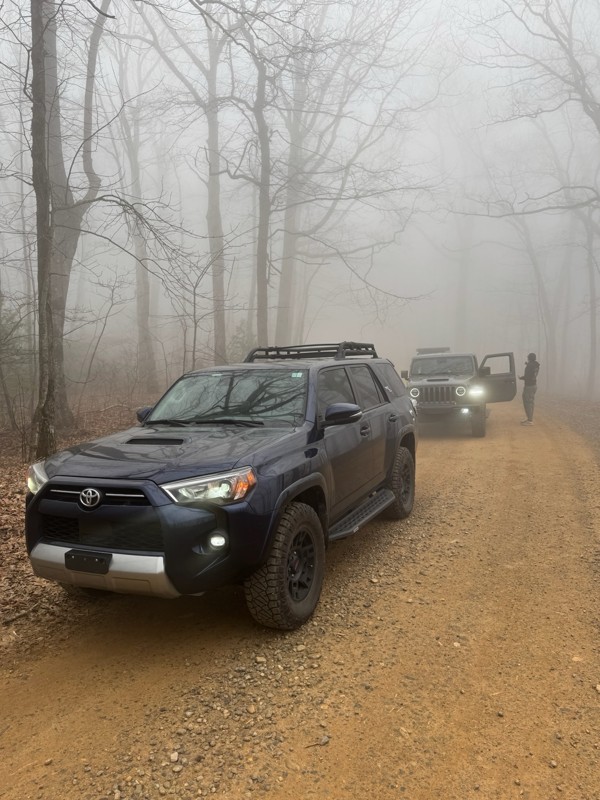 Forest Service Road 333 Trail Review Photo