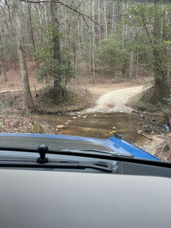 Forest Service Road 333 Trail Review Photo