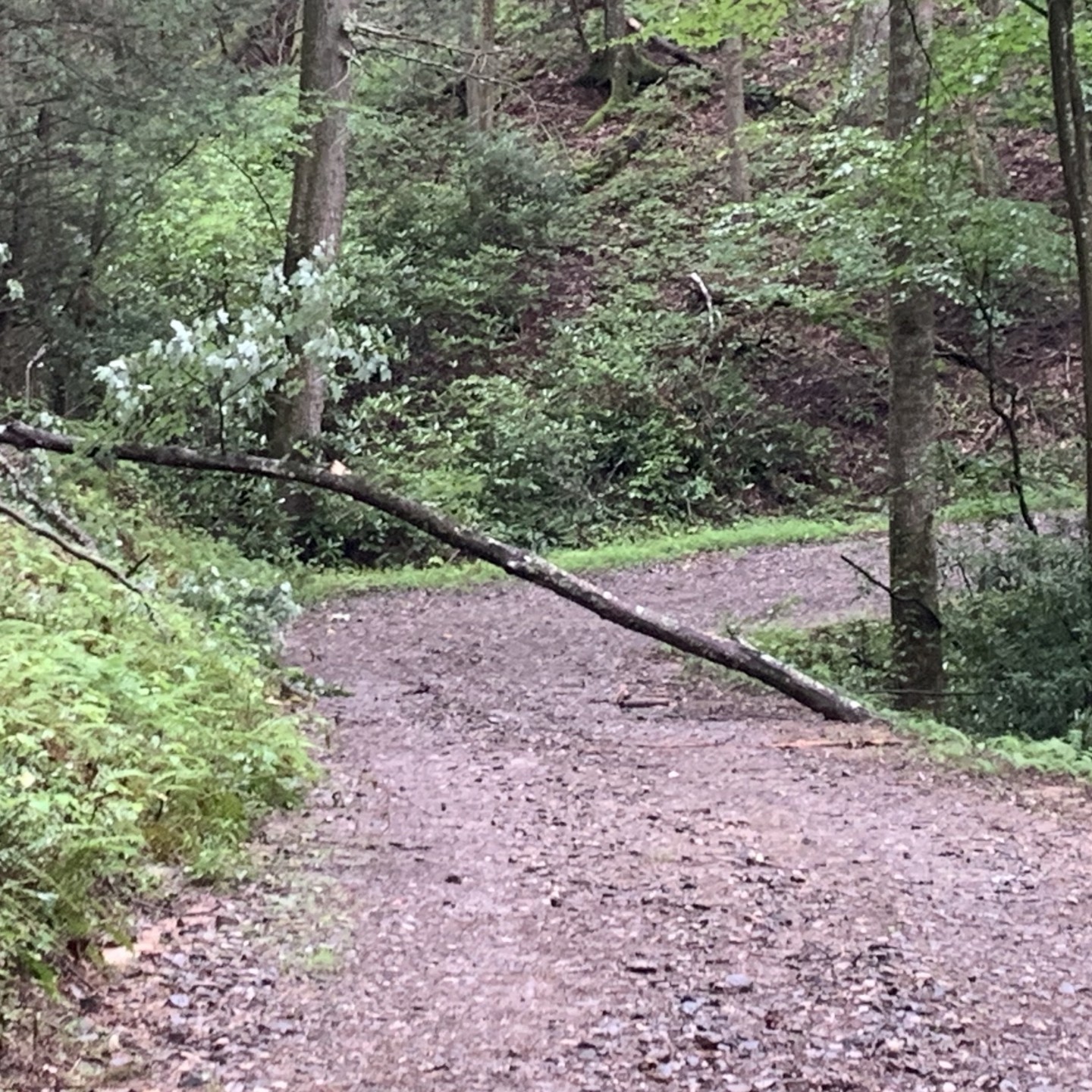 Forest Service Road 69C, Georgia | GPS Map, Photos & Reviews