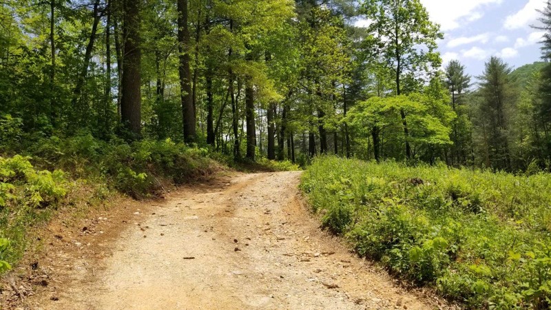 y*様 STABRIDGE FOREST SERVICE COLLECTION start_forest_service_road_69c-