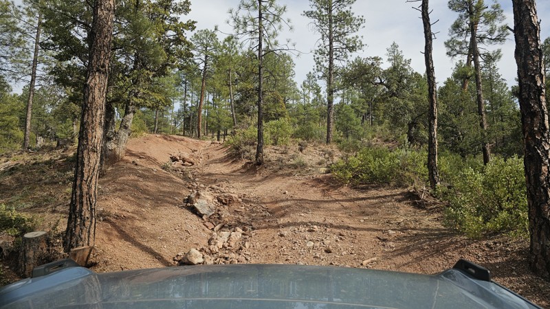 FR 195 - Tonto National Forest Trail Review Photo