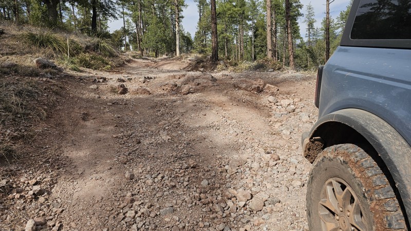 FR 195 - Tonto National Forest Trail Review Photo