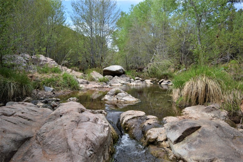 Arizona: First Water Hero Photo
