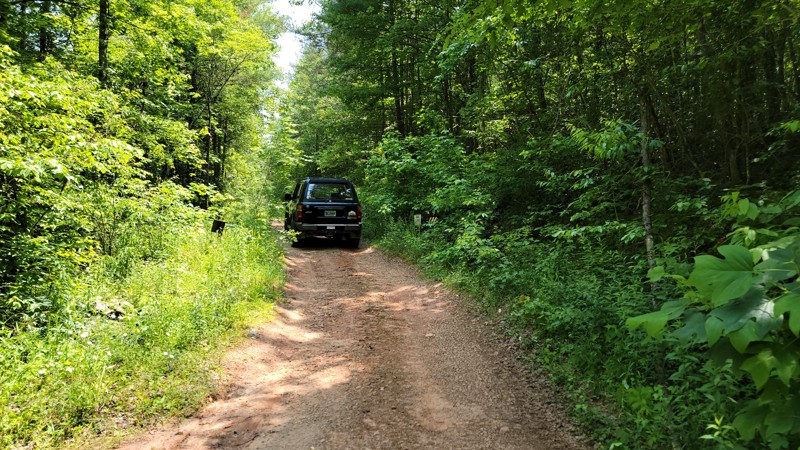 Forest Service Road 98 Trail Review Photo