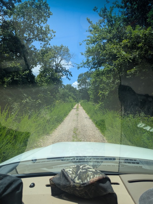 Winona Auto Tour Scenic Drive Trail Review Photo