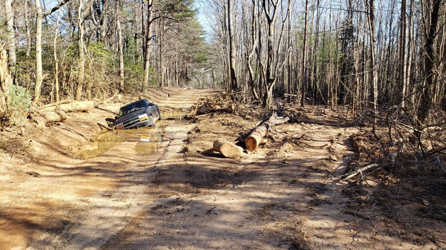 Trail Review: Grassy Gap Road - Dave G.