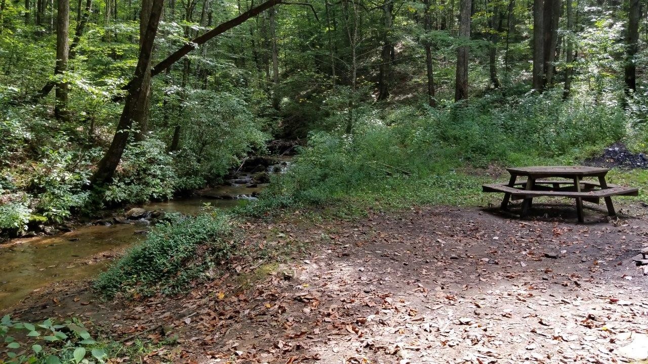 Canada Creek Road - Best Trails