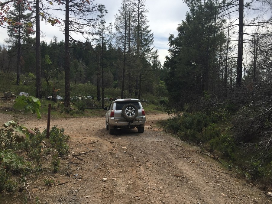 Slate Mountain Lookout Trail Review Photo