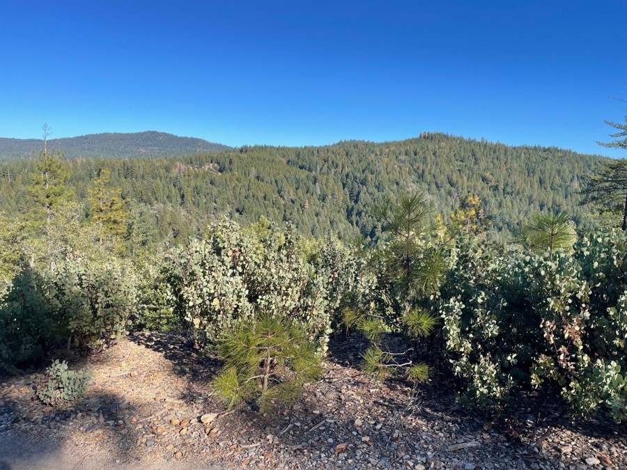 Slate Mountain Lookout Trail Review Photo
