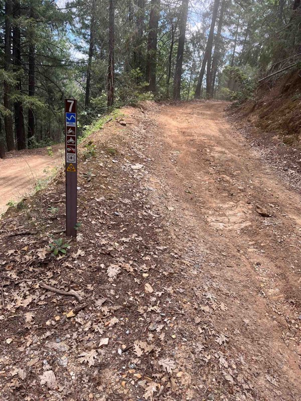 Slate Mountain Lookout Trail Review Photo