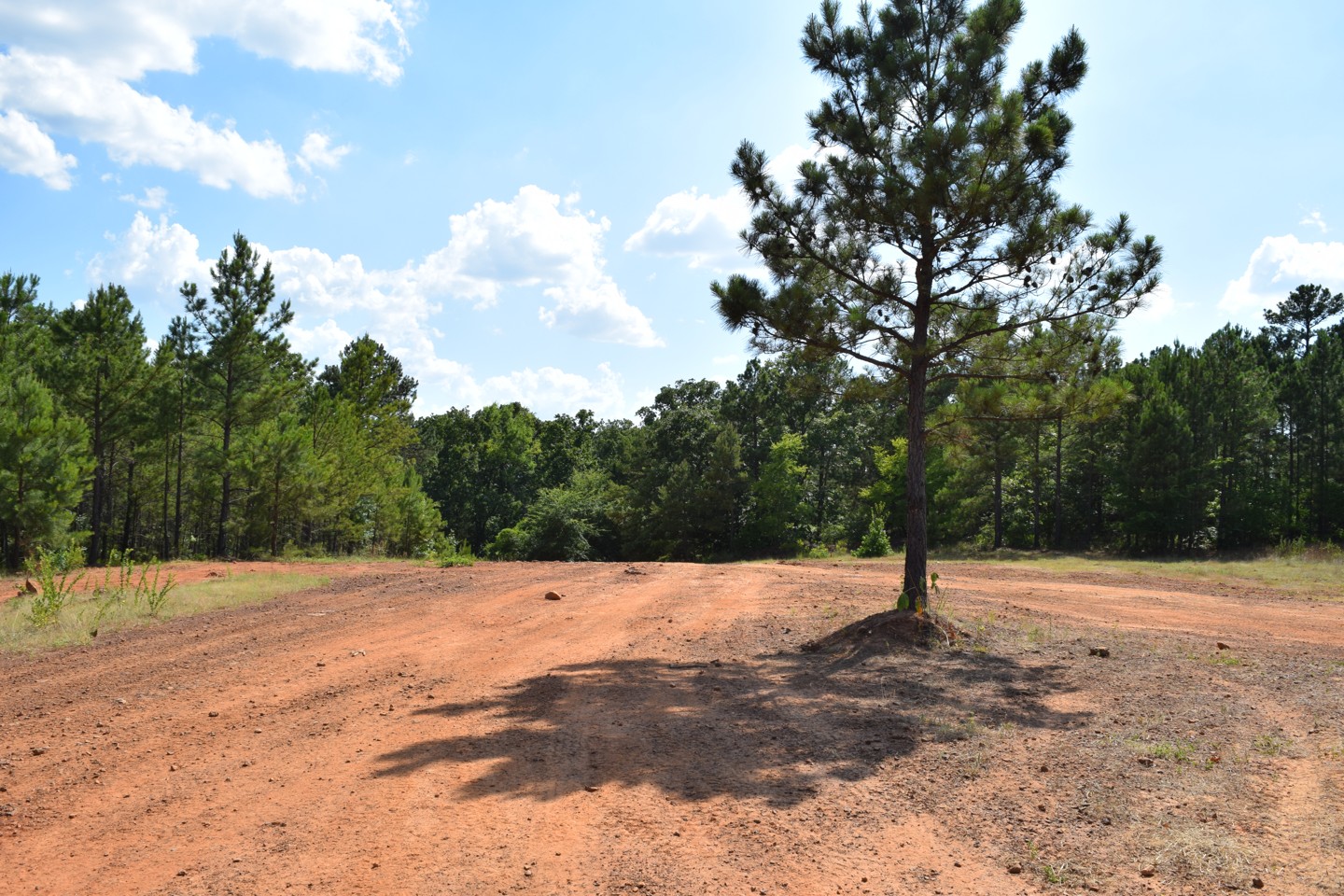 Barnwell Mountain Recreation Area South Road East Texas Offroad Trail