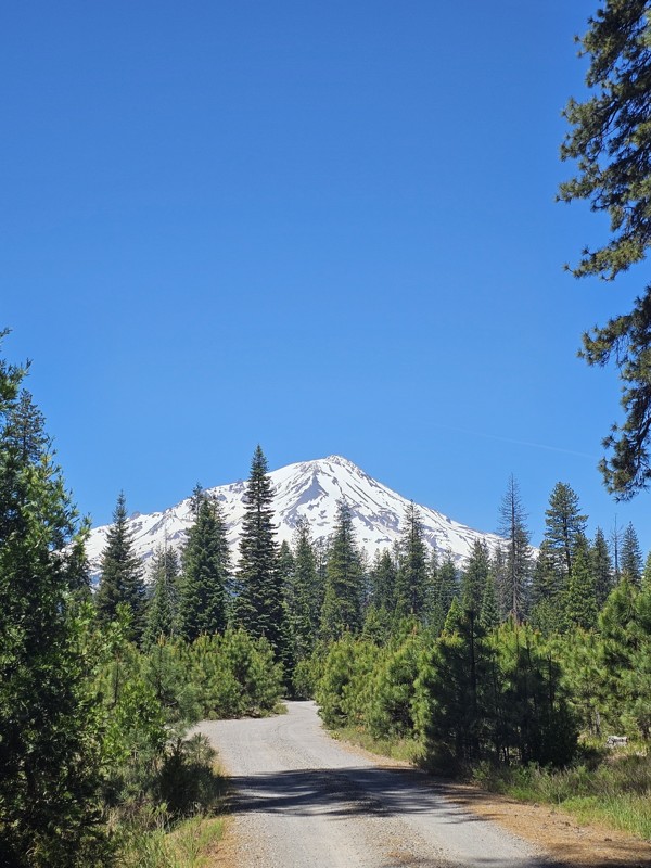 Military Pass Trail Review Photo