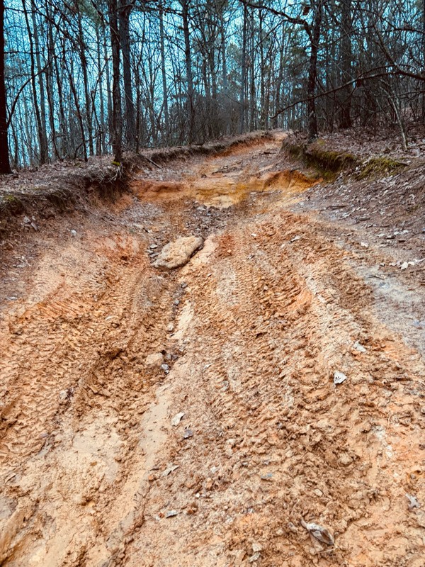 Barnwell Mountain Recreation Area: Linda Gail Trail Review Photo