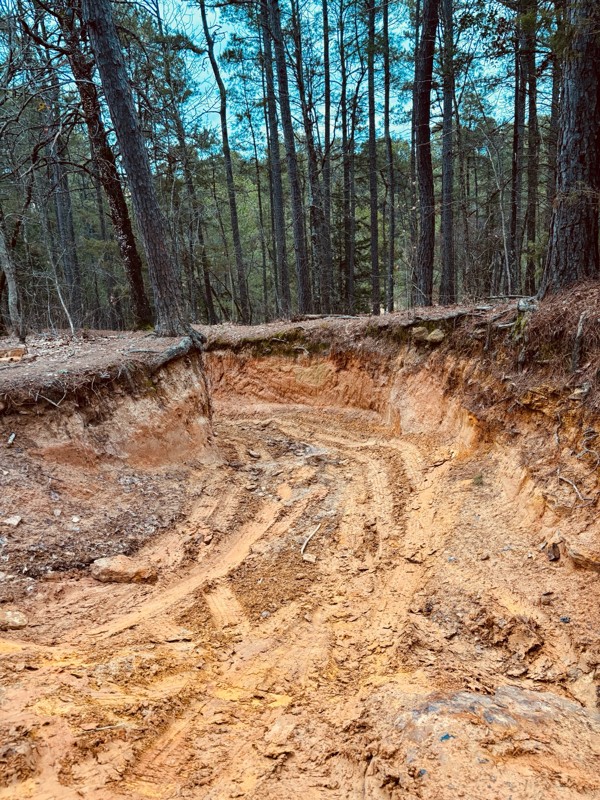 Barnwell Mountain Recreation Area: Linda Gail Trail Review Photo