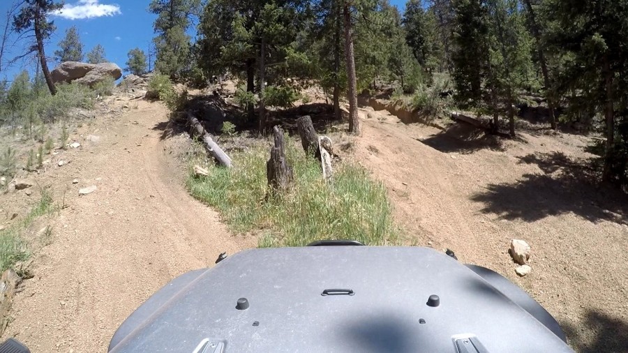 Trail Review: Hackett Gulch - Patrick McKay