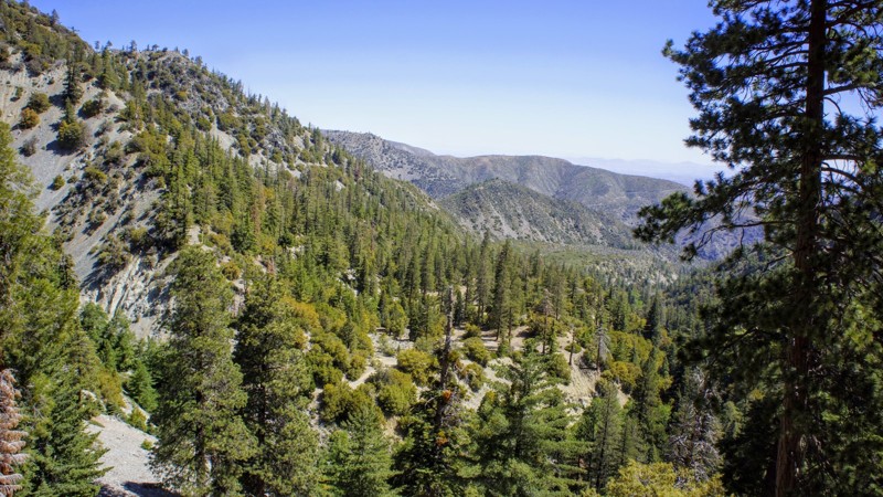California: 3N06A Cold Water Canyon Hero Photo