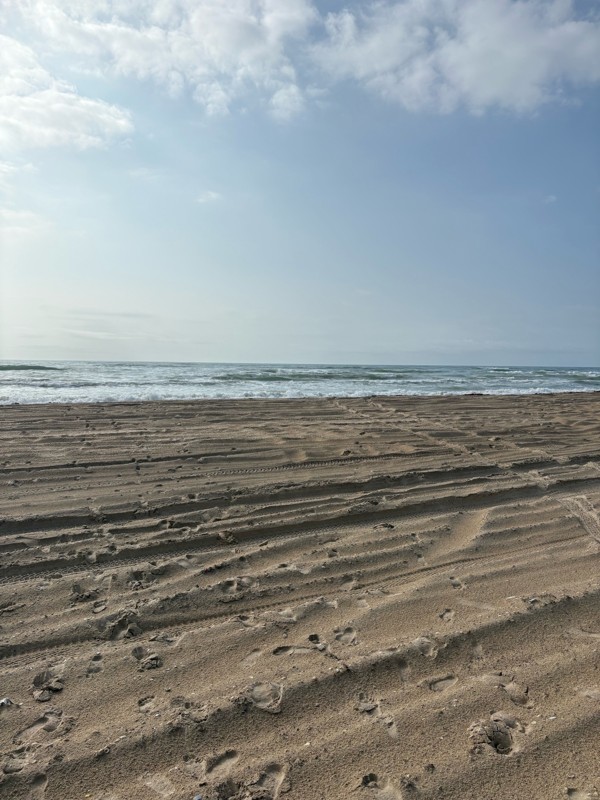 Padre Island National Seashore Trail Review Photo