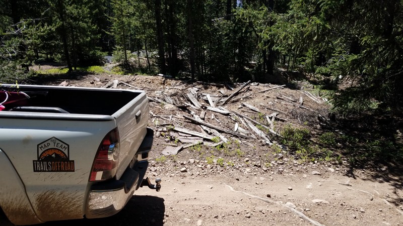 Colorado: Forest Queen Hero Photo