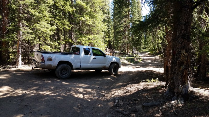 Colorado: Spruce Road Hero Photo