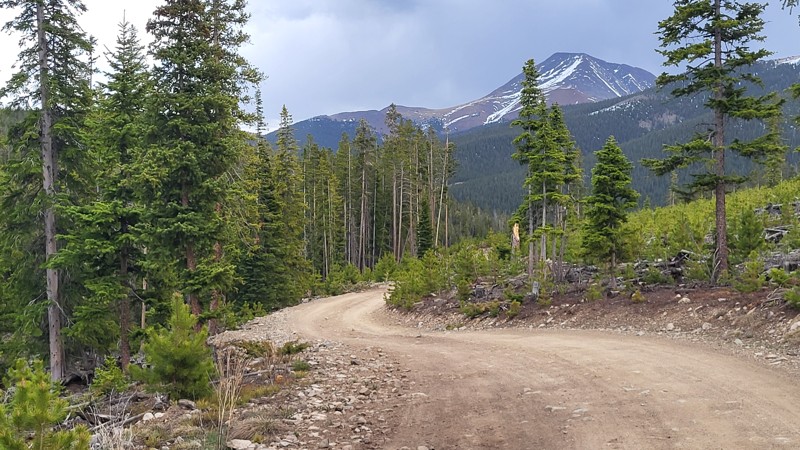 Spruce Road Trail Review Photo