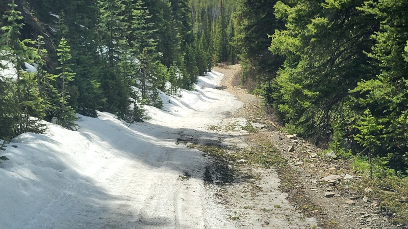Draw Road Trail Review Photo