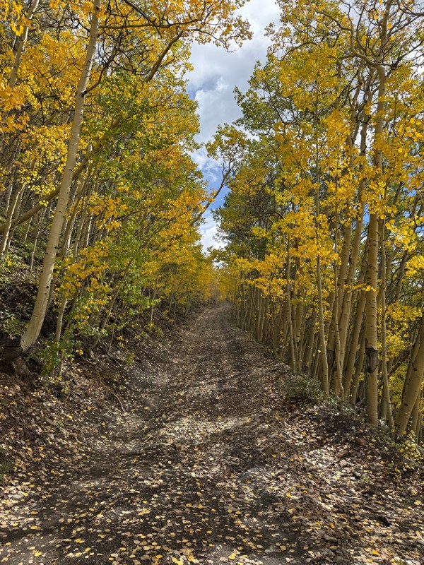 Humbug Hill/French Gulch Connector Trail Review Photo